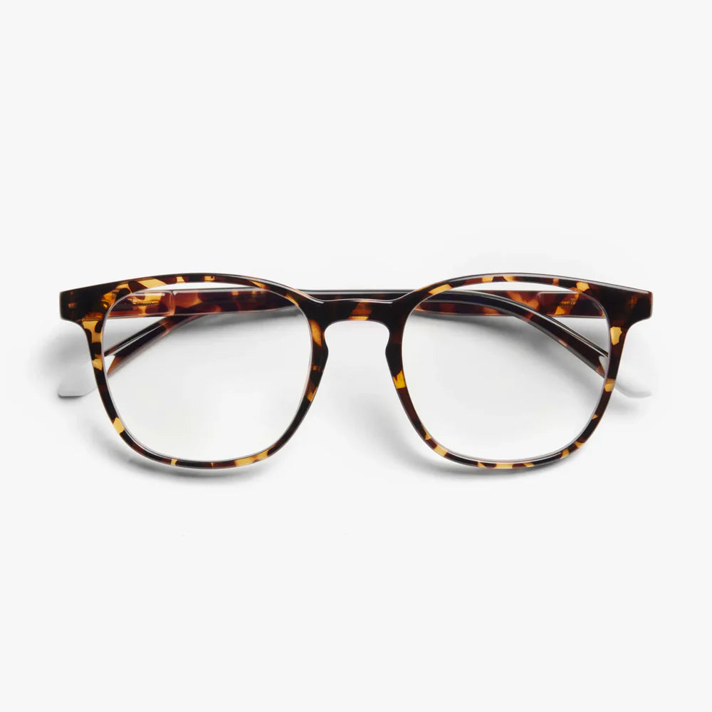 Dalston Reading Blue light Glasses