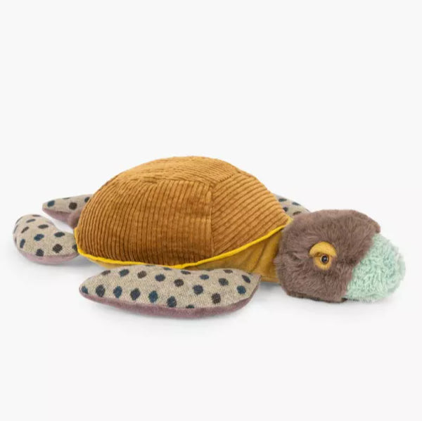 Small turtle Tout autour du monde