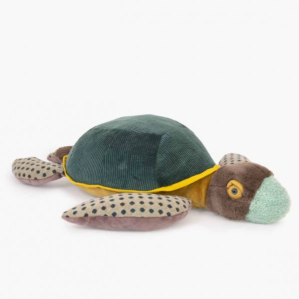 Large turtle Tout autour du monde