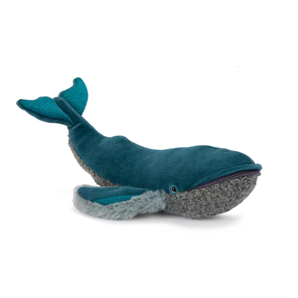 Small whale Tout autour du monde