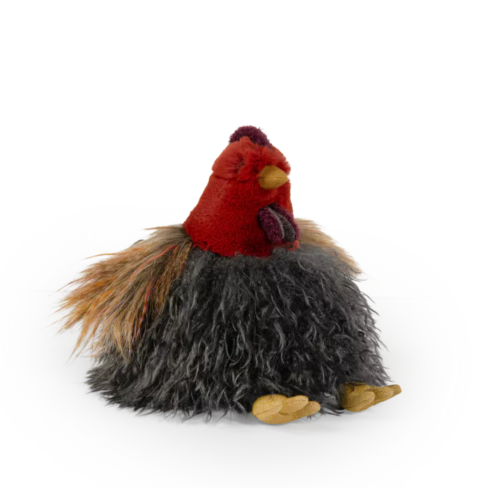 Hen Tout autour du monde
