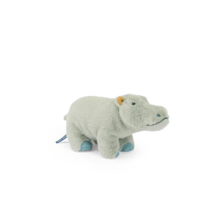 Small hippopotamus Tout autour du monde