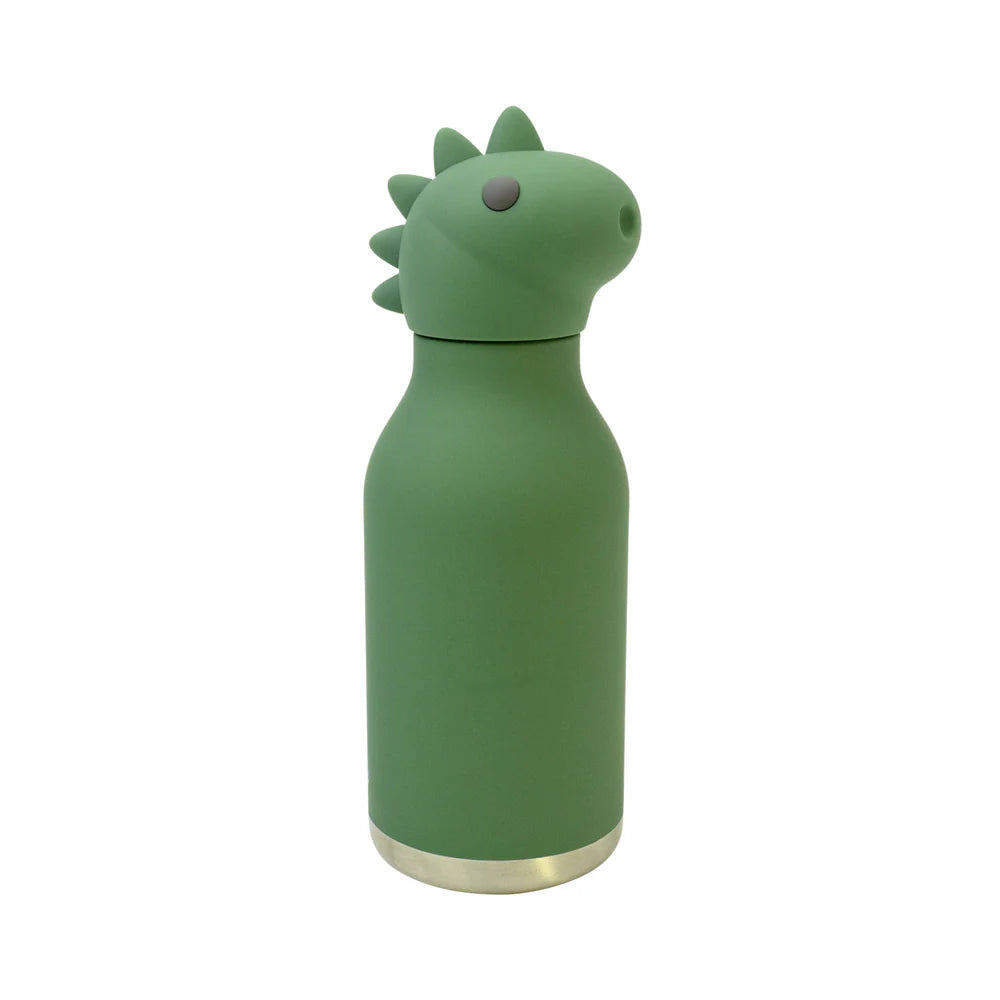 Dinosaur Bottle