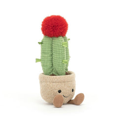 Amuseable Moon Cactus