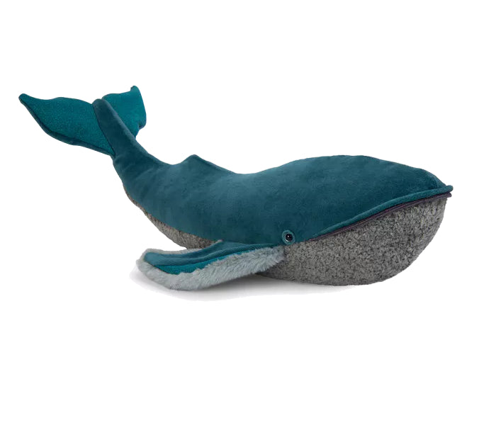 Large whale Tout autour du monde